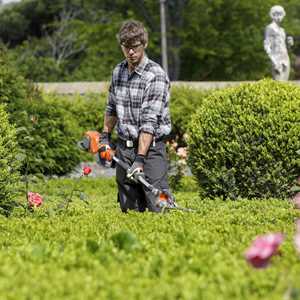 Alexis, un jardinier à Saint-Étienne-du-Rouvray