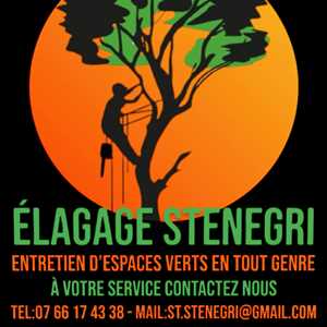 Elagage Stenegri, un spécialiste du démoussage à Argenteuil